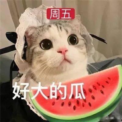 网红吃瓜胖子是谁,揭秘网络红人的神秘面纱 第2张 网红吃瓜胖子是谁,揭秘网络红人的神秘面纱 第2张