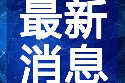 晓航团队爆料视频最新消息,揭秘神秘事件内幕