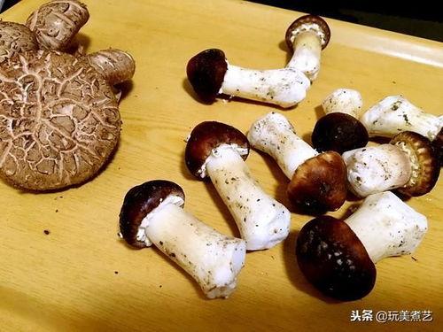 娱乐吃瓜菌没有哪一个,揭秘娱乐圈那些不为人知的幕后故事 第2张 娱乐吃瓜菌没有哪一个,揭秘娱乐圈那些不为人知的幕后故事 第2张