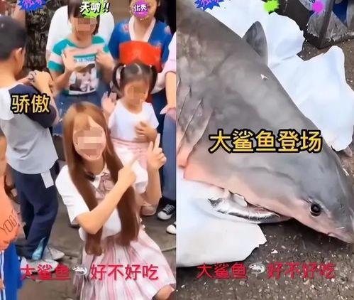 粉丝爆料说鲨鱼被骂视频,鲨鱼被骂视频引发热议