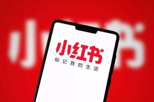 小红书爆料网红事件视频,揭秘小红书热门爆料背后的真相