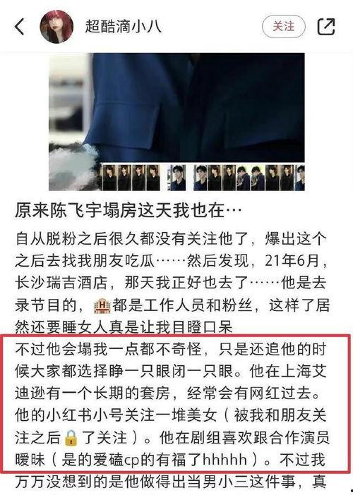 粉条爆料视频大全下载,揭秘幕后真相，带你走进网络舆论漩涡