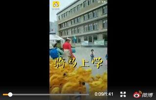 内蒙学校爆料视频曝光,揭秘校园内幕